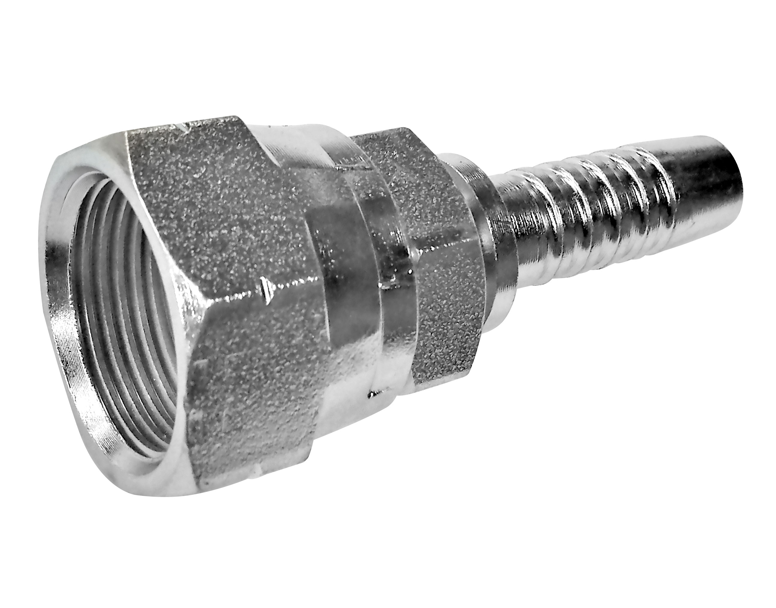 FÊMEA RETA SEDE PLANA BSP